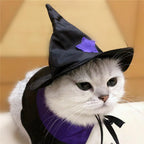 Enchanting Pet Halloween Wizard Costume Set Lootquake LLC