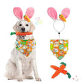 New Easter Pet Party Decor Kit Pi-Mart