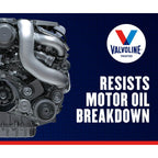 Valvoline Daily Protection 50 Conventional Motor Oil 1 QT