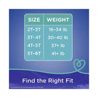 Pampers Easy Ups Training Underwear Boys Size 7 5T-6T 84 Count EasyOptionXY LLC