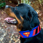 Superdog Collar - SJB-DIAMOND ELITES