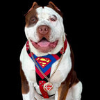 Superdog Harness Bestia Dog Gear