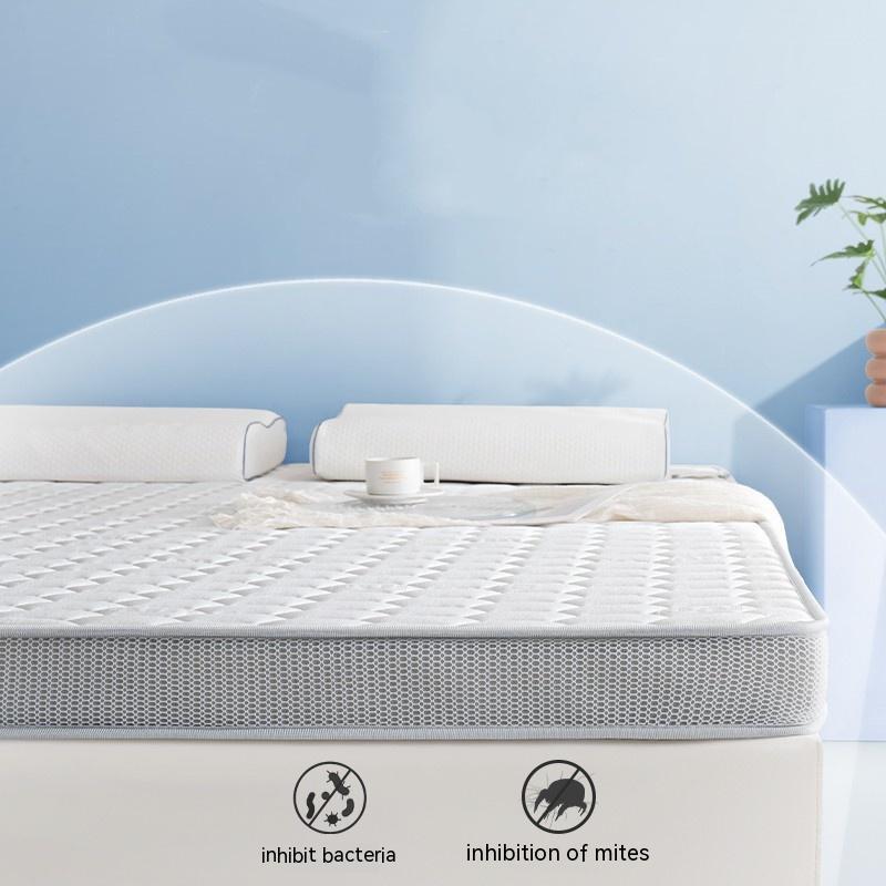 Household Memory Sponge Latex Mattress Pi-Mart