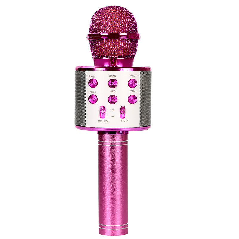 Wireless Bluetooth Colorful Light Microphone Pi-Mart