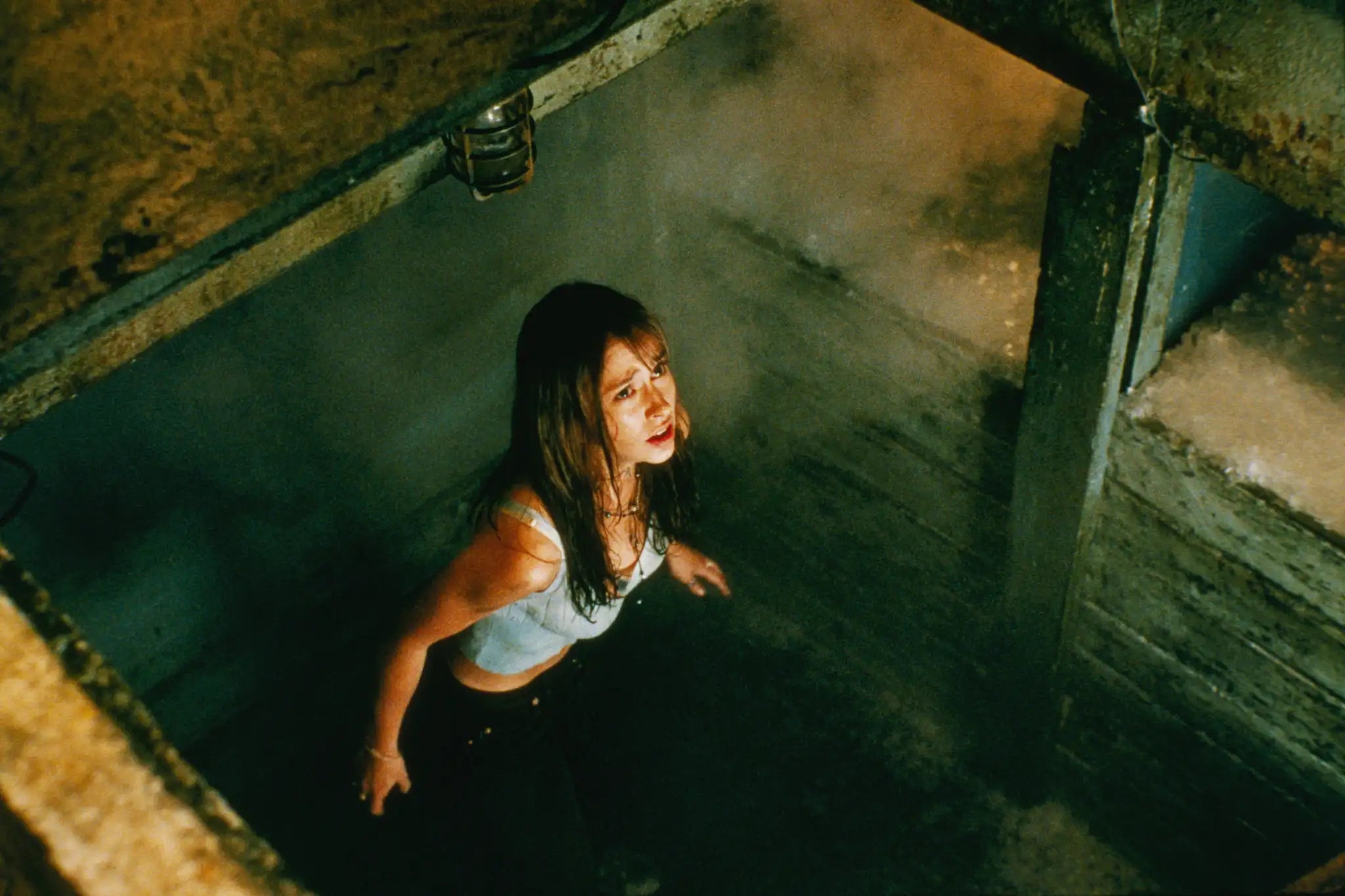 I Know What You Did Last Summer 3 Movie Collection (DVD)