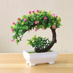 Small Bonsai Tree Pi-Mart