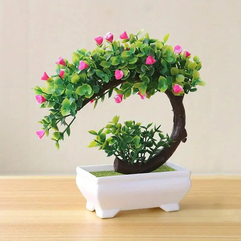 Small Bonsai Tree Pi-Mart