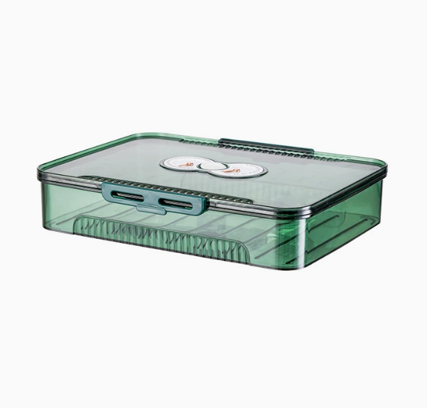 Transparent Dumpling Storage Box Pi-Mart