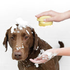 Pet Bathroom Massage Soft Brush Pi-Mart