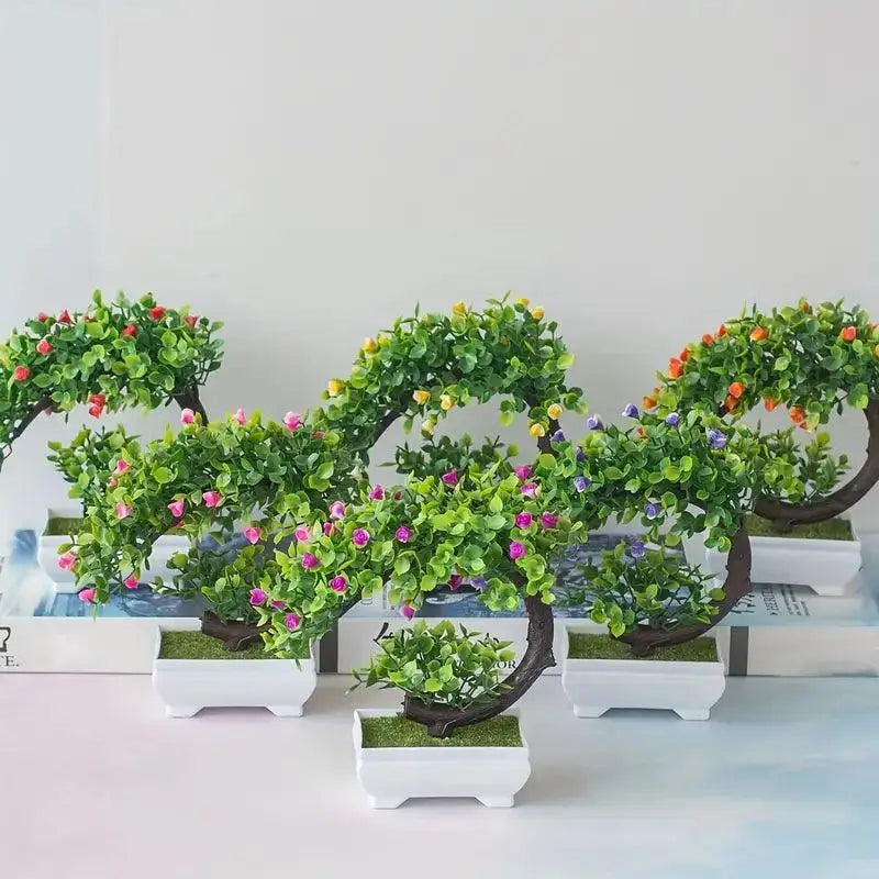 Small Bonsai Tree Pi-Mart
