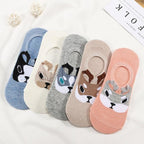 5 Pairs/Lot Cute Harajuku Animal Women Socks Set Funny Spring Cat Dog Rabbit Panda Low Cut Short Sock Happy Stevvex