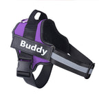 Personalized Dog Harness NO PULL Reflective Breathable Adjustable Pet Harness Vest For Small Large Dog Custom Patch Pet Supplies Pi-Mart