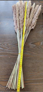 50Pcs/Bunch 50cm Natural Phragmites Reed Flowers Bulrush Bouquet Big Dried Pampas Grass Wedding Decoration Home Fall Decor Stevvex