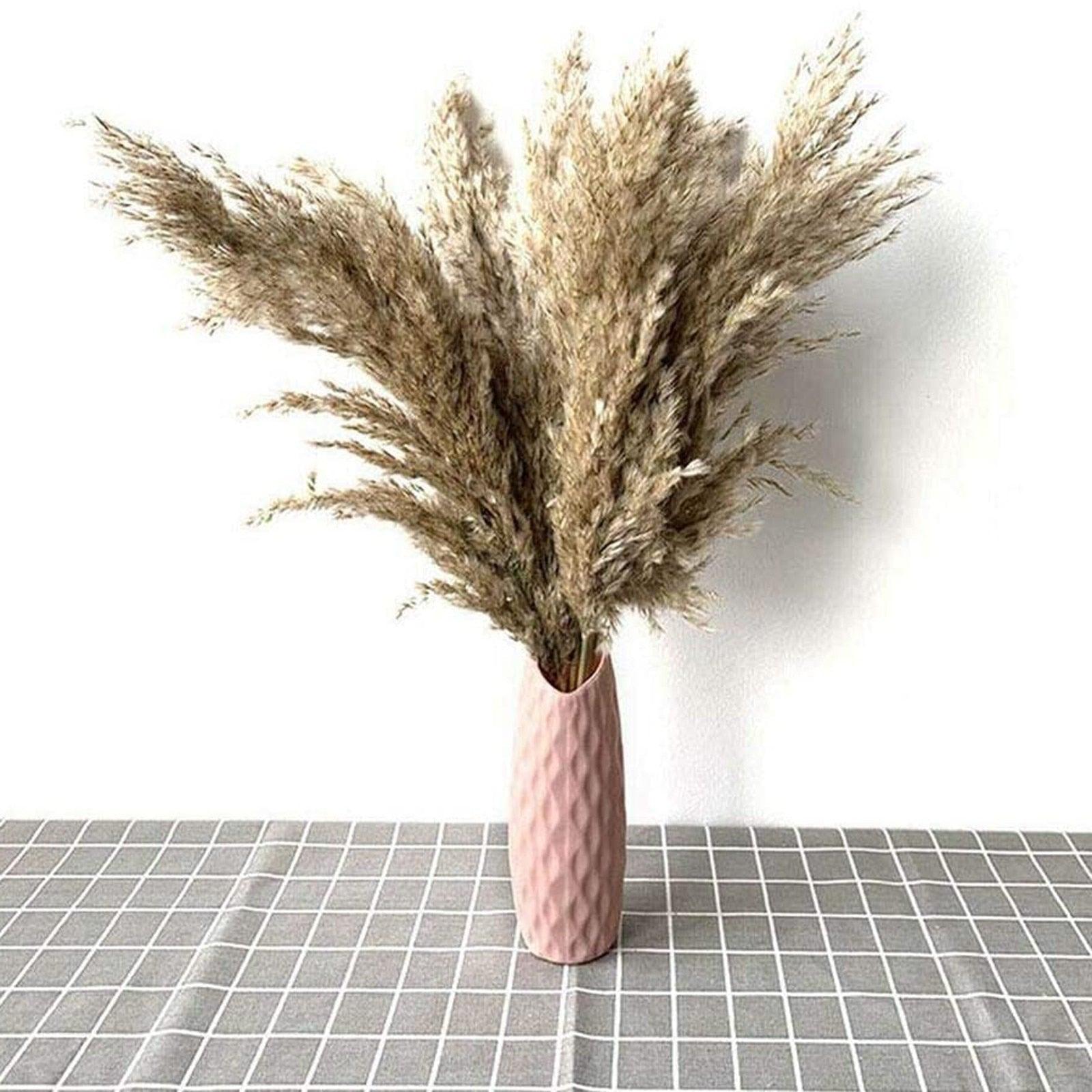 50Pcs/Bunch 50cm Natural Phragmites Reed Flowers Bulrush Bouquet Big Dried Pampas Grass Wedding Decoration Home Fall Decor Stevvex