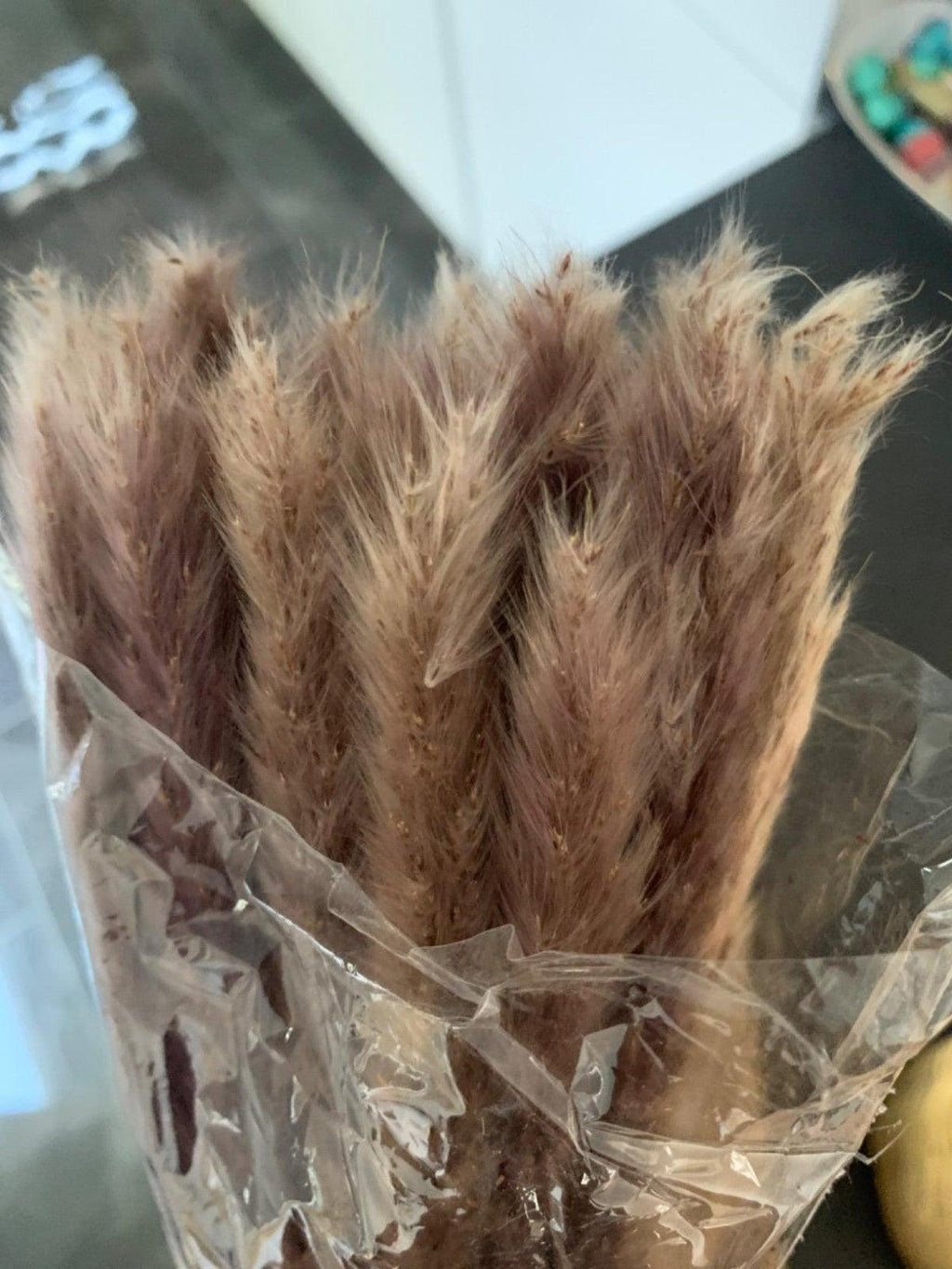 50Pcs/Bunch 50cm Natural Phragmites Reed Flowers Bulrush Bouquet Big Dried Pampas Grass Wedding Decoration Home Fall Decor Stevvex