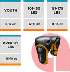 Invincible Fight Gear Professional Hook and Loop Leather Training - SJB-DIAMOND ELITES