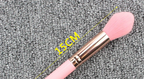 Highlight Brush Giveaway Makeup Brush Pi-Mart