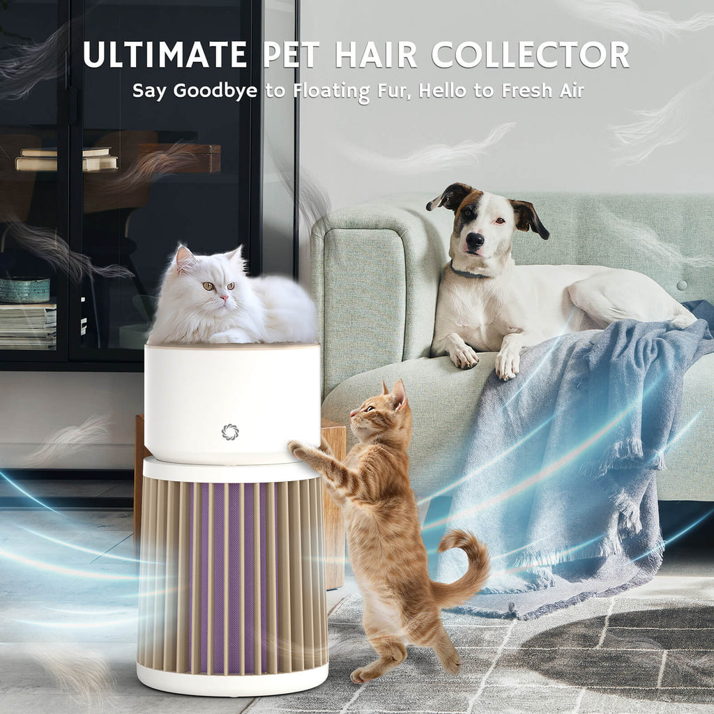 Glory Days AGH400 Pet Air Purifier - SJB-DIAMOND ELITES