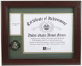 U.S. Army Medal and Award Frame with Medallion (13 x 16) The Military Gift Store