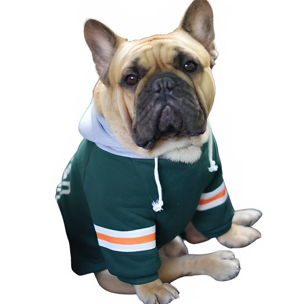 [MPK Dog Wear] Grandy Hoodies for Small Dogs, Cute French Bulldog Hooded Sweatshirt, Cool T-Shirt for Frenchie