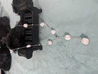 Natural Freshwater Pearl Gypsophila Necklace Pi-Mart