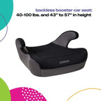 Cosco Rise LX Booster Car Seat, Fossil Black EasyOptionXY LLC