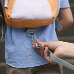Goldbug Fox Backpack Harness with Removable Tether, Fox EasyOptionXY LLC