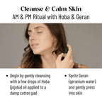 Oily Skin Kit Katari Beauty