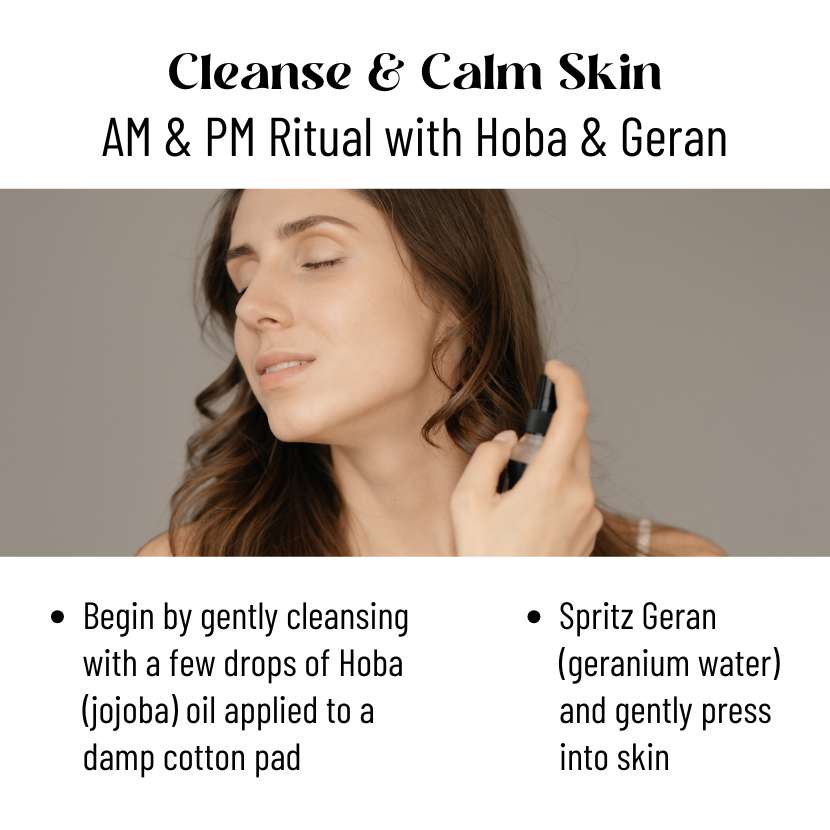 Oily Skin Kit Katari Beauty