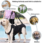 Oxford Cloth Dog Injury Travel Auxiliary Strap Pi-Mart