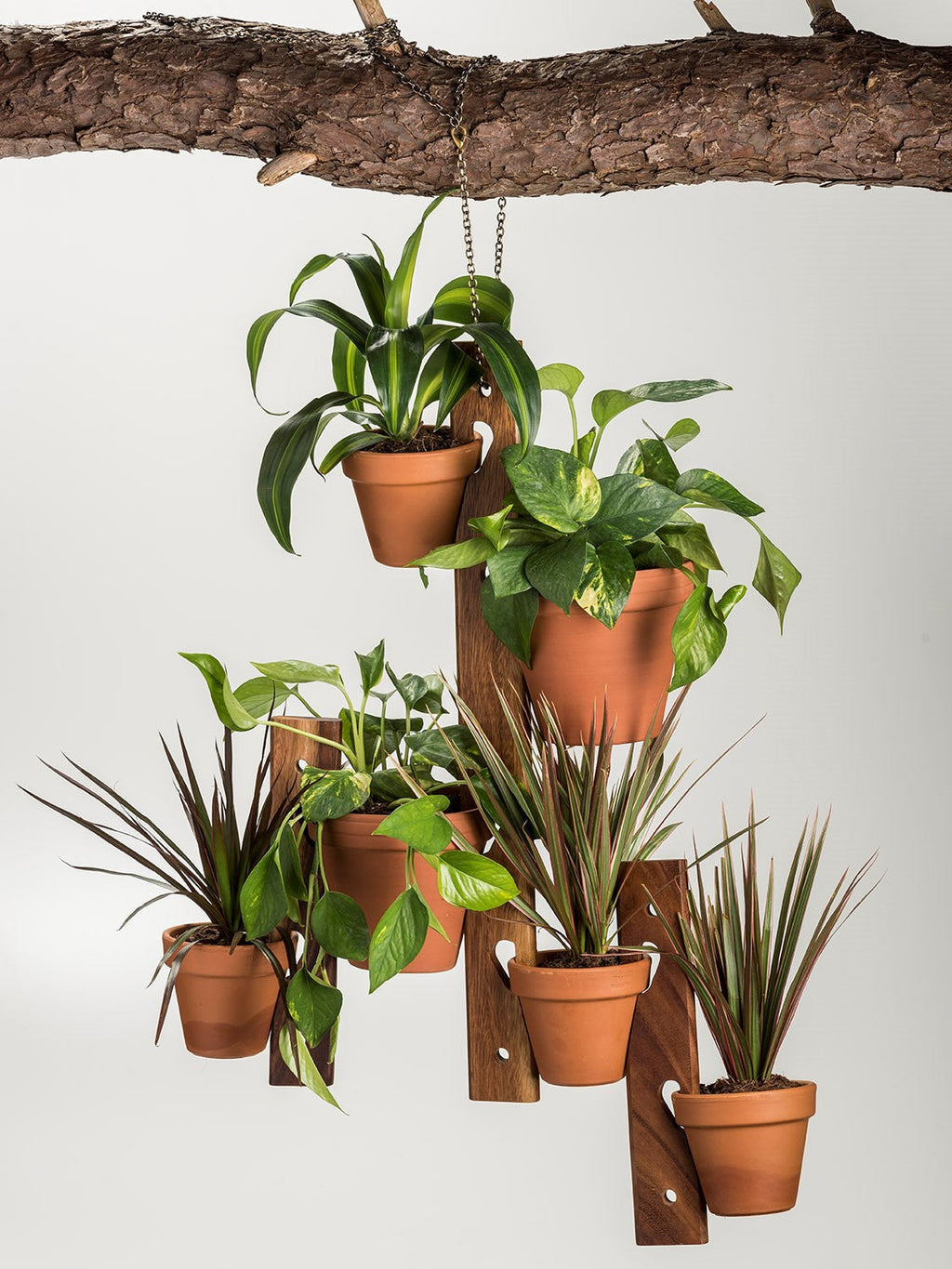 6-Pot Acacia Wood Hanging Plant Holder 3-Piece Set for Indoor Outdoor BandsCo Straps