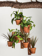 6-Pot Acacia Wood Hanging Plant Holder 3-Piece Set for Indoor Outdoor BandsCo Straps