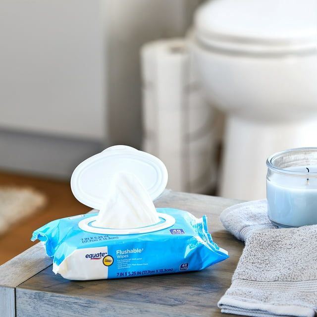 Equate Fresh Scent Flushable Wipes, 48 Count EasyOptionXY LLC