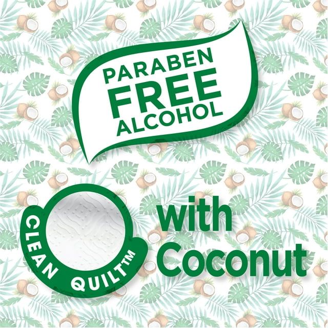 Equate Coconut Scented Flushable Wipe, 2 Flip-Top Packs (96 Total Wipes) EasyOptionXY LLC