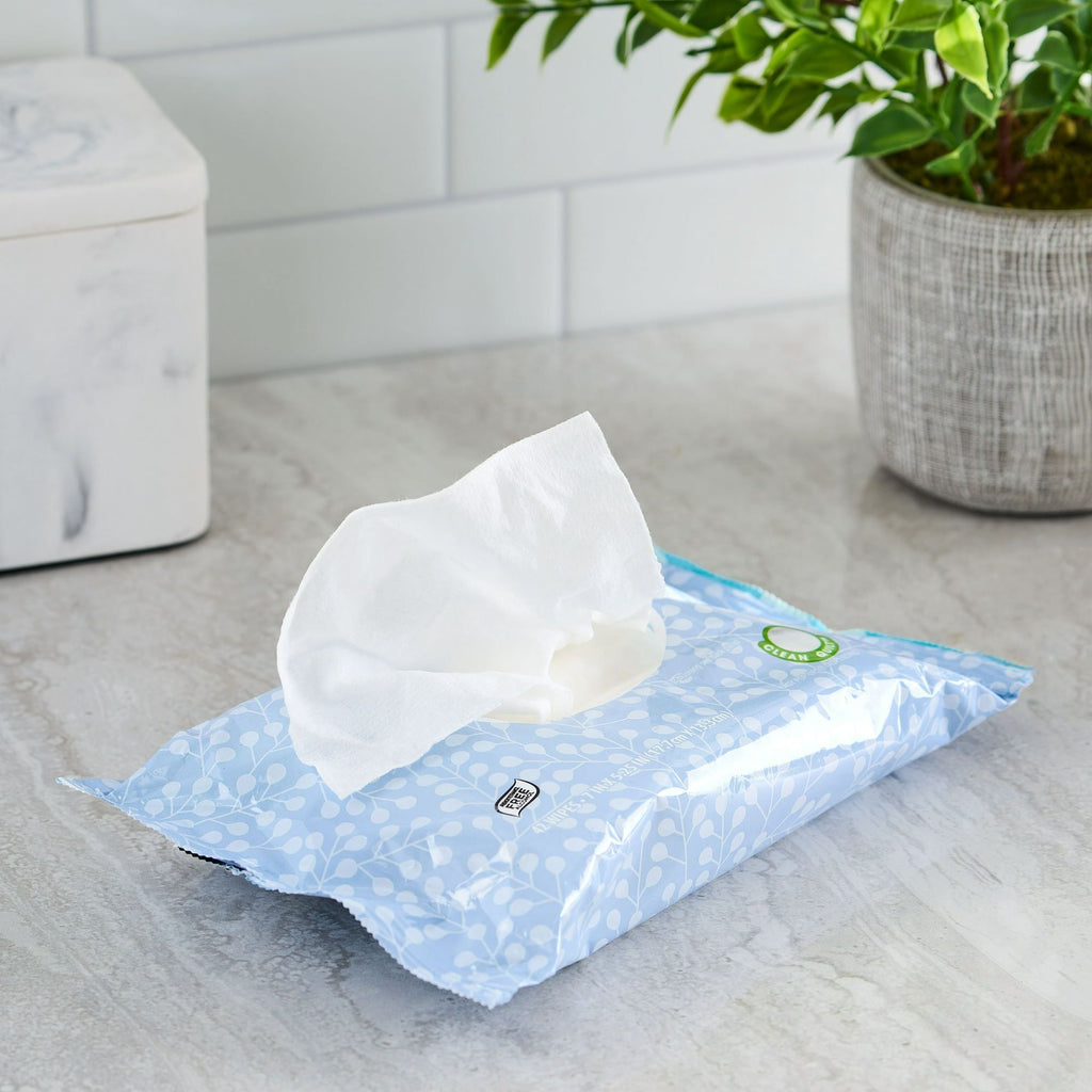 Great Value Fresh Scent Flushable Wipes, 1 Flip-Top Pack, 42 Total Wipes EasyOptionXY LLC