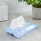 Great Value Fresh Scent Flushable Wipes, 1 Flip-Top Pack, 42 Total Wipes EasyOptionXY LLC