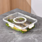 Plastic Thickened Drain Preservation Box Pi-Mart