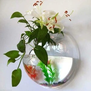 Wall-Mounted Fish Bowl Pi-Mart