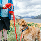 Multifunctional Pet Leash - SJB-DIAMOND ELITES