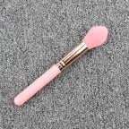 Highlight Brush Giveaway Makeup Brush Pi-Mart