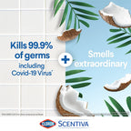 Clorox Scentiva Disinfecting Wet Mop Pads, Pacific Breeze and Coconut, 12 Count - SJB-DIAMOND ELITES
