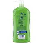 Dial Kids 2-in-1 Body+Hair Wash, Melon, 32 fl oz