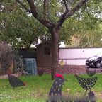 Garden Decoration Pastoral Chicken Simulation Garden