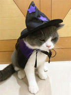 Enchanting Pet Halloween Wizard Costume Set Lootquake LLC