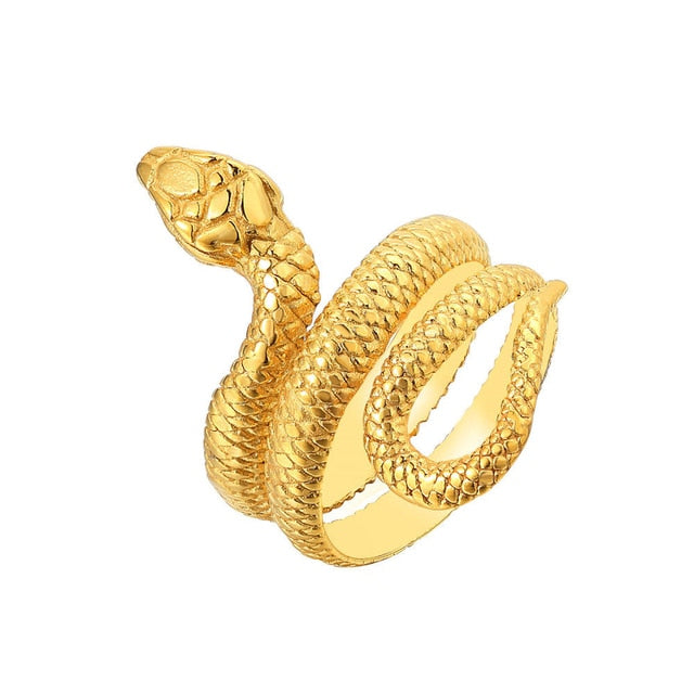 Retro Norse Mythology Men Ouroboros Ring Pi-Mart