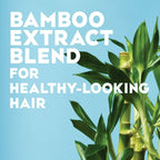 OGX Nourishing + Coconut Oil Weightless Hydrating Oil Hair Mist, Leave-In Treatment 4 fl oz - SJB-DIAMOND ELITES