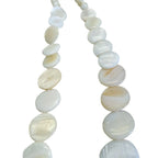 Shell Necklace Vacation Style Simple Fashion Lock All-match Jewelry