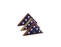 Capitol Hill Flag case for 4x6 Flag The Military Gift Store
