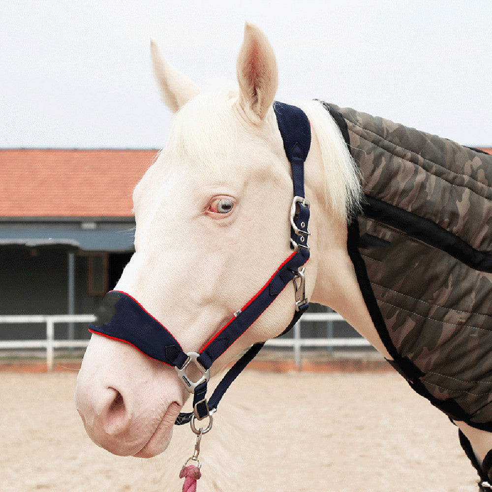 New Fleece Lined Horse Halter Lootquake LLC