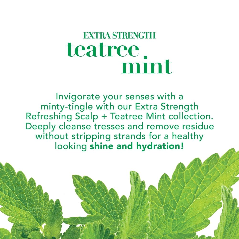 OGX Extra Strength Refresh & Balance + TeaTree Mint Dry Shampoo, 5 FL OZ EasyOptionXY LLC